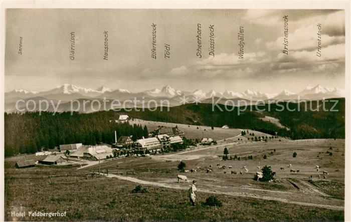 Feldberg 1450m Schwarzwald Hotel Feldbergerhof