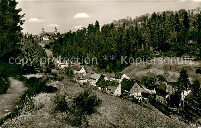 FREUDENSTADT BW Panorama
