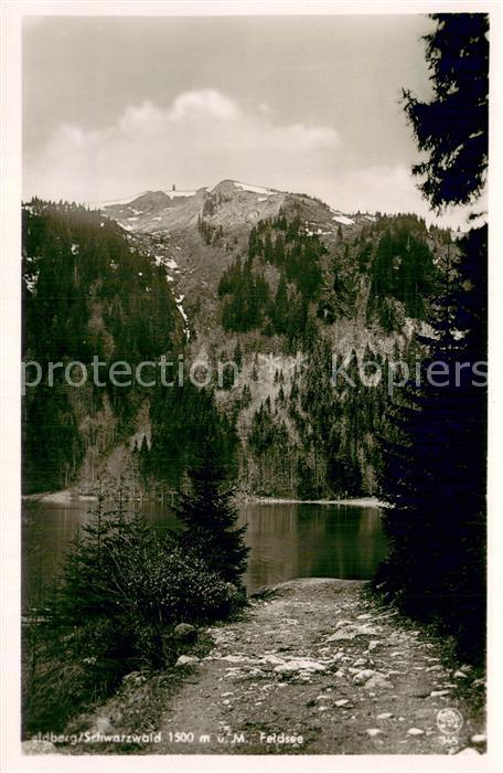 Feldberg 1450m Schwarzwald Feldsee