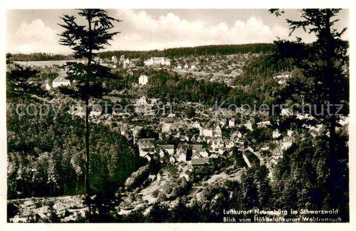 Neuenburg  Rhein Panorama