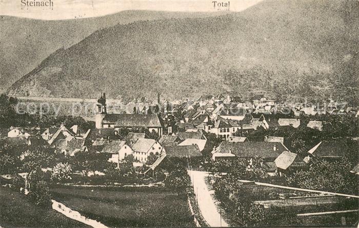 Steinach Baden Totalansicht