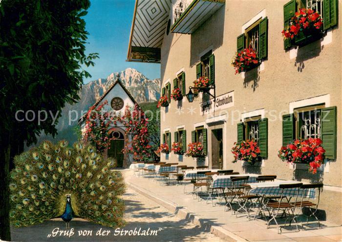 Anger Bad Reichenhall Stroblalm am Hoegl mit Hochstaufen