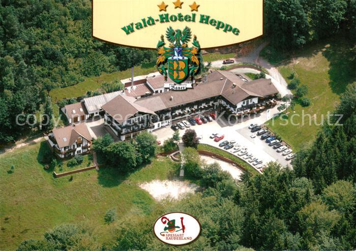 Dammbach Wald Hotel Heppe Fliegeraufnahme