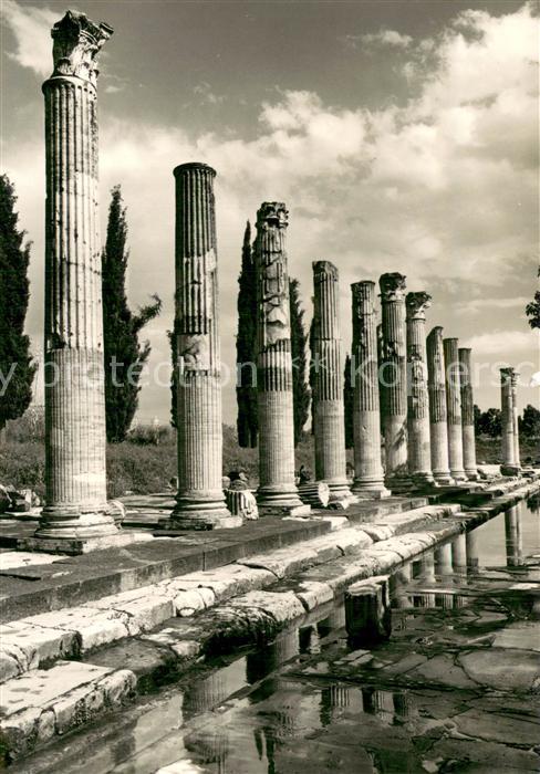 Aquileia Aquileja IT Le Colonne del Portico di Levante del Foro