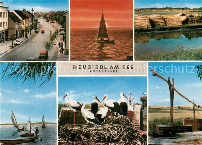 Neusiedl See Strasse Segelboote Storchennest Ziehbrunnen