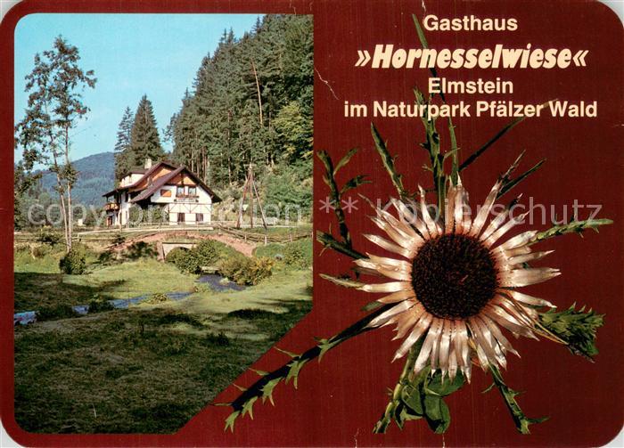 Elmstein Gasthaus Hornesselwiese