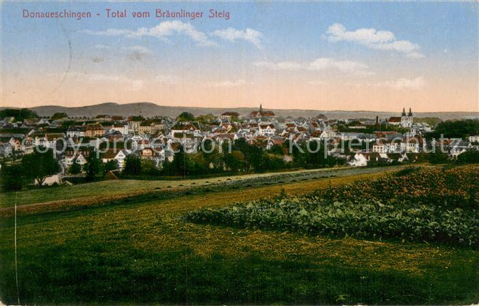 Donaueschingen Panorama vom Braeunlinger Steig