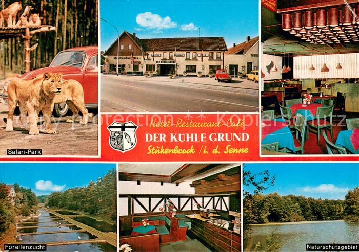 Stukenbrock Hotel Restaurant Cafe Der Kuehle Grund Safari Park Gastraum Forellen
