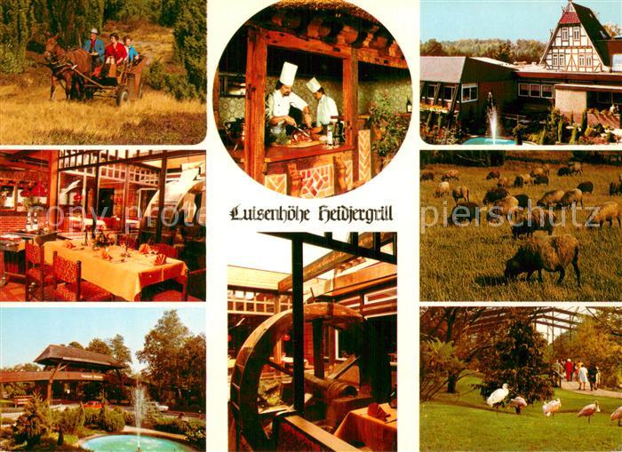 Walsrode Lueneburger Heide Luisenhoehe Heidjergrill Forellenlokal Gaststube Brun