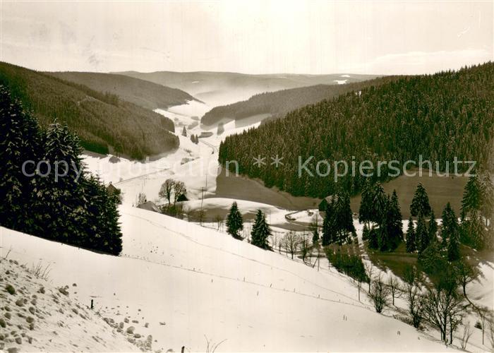 Escheck Blick ins Schuetzenbachtal