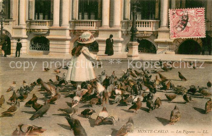 Monte-Carlo Monaco Les Pigeons