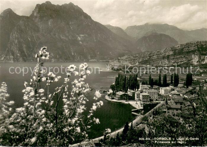 Torbole Lago di Garda IT Primavera sul lago