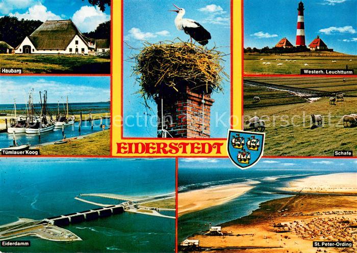 Eiderstedt Haubarg Tumlauer Koog Eiderdamm Storchennest Westerh Leuchtturm Flieg