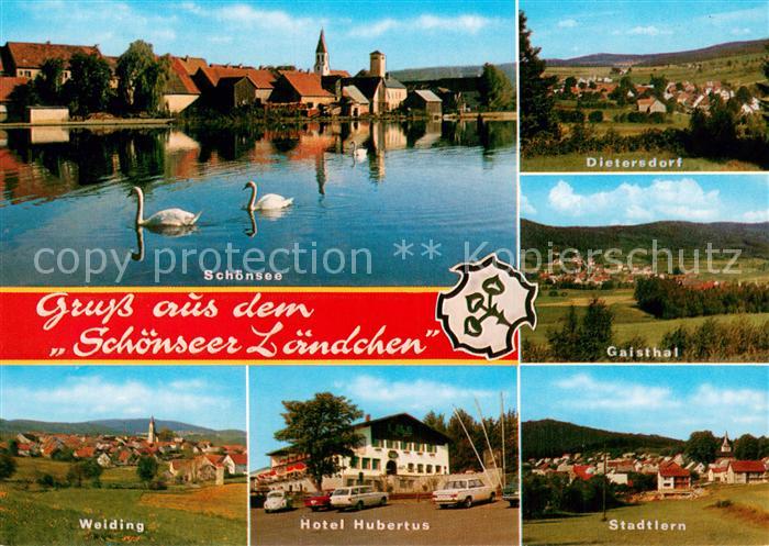 Schoensee Ansicht ueber die Ascha Schwaene mit Umgebung Hotel Hubertus