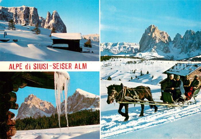 Seiser Alm 1700m Dolomiten Landschaftspanorama Pferdeschlitten
