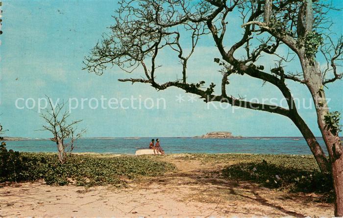 Sainte Anne Martinique Plage des Salines au fond la Table du Diable