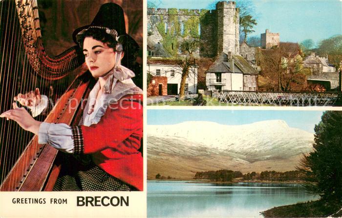 Brecon UK The Castle Panorama Zitherspielerin