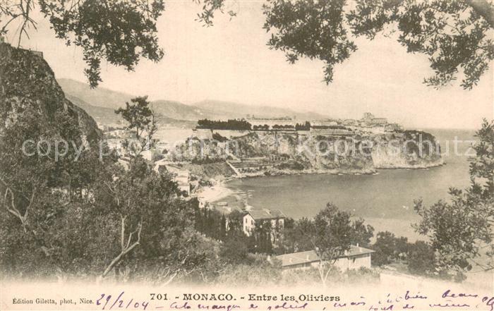 Monaco Entre les Oliviers