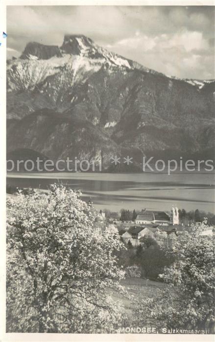 Mondsee Salzkammergut AT Panorama Baumbluete Alpen