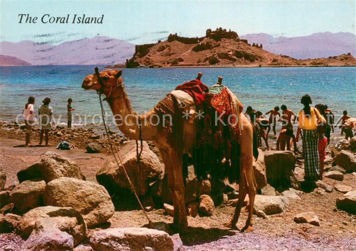 Coral island Israel Beach Gulf of Eilat Kamel