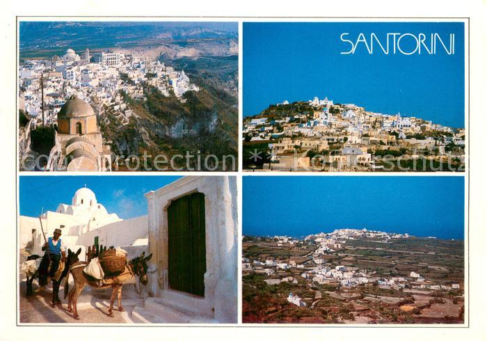 Santorini Santorine Santorino Greece Panorama Lasttiere Esel