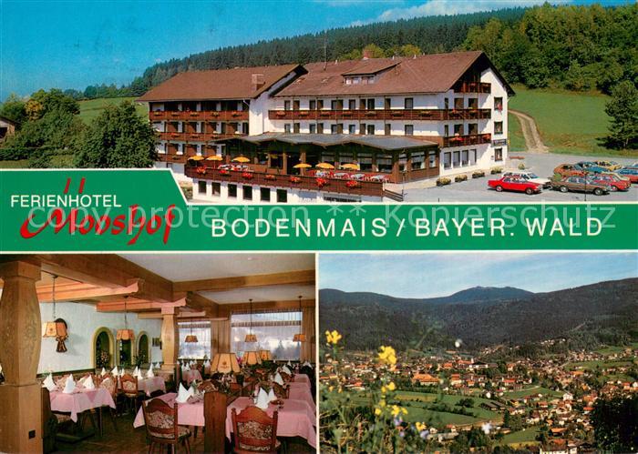 Bodenmais Ferienhotel Mooshof Restaurant Panorama