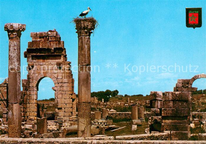 Volubilis Maroc Ruinas del Templo