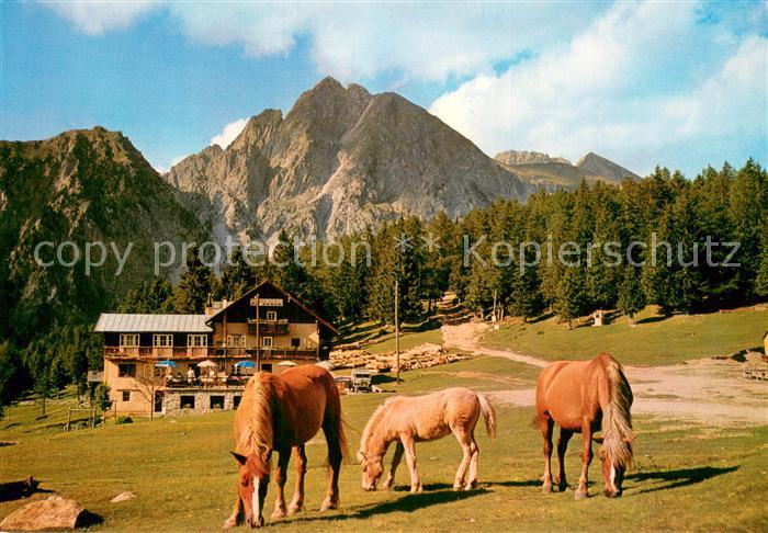 Meran Merano Gasthof Alpenrose Haflinger