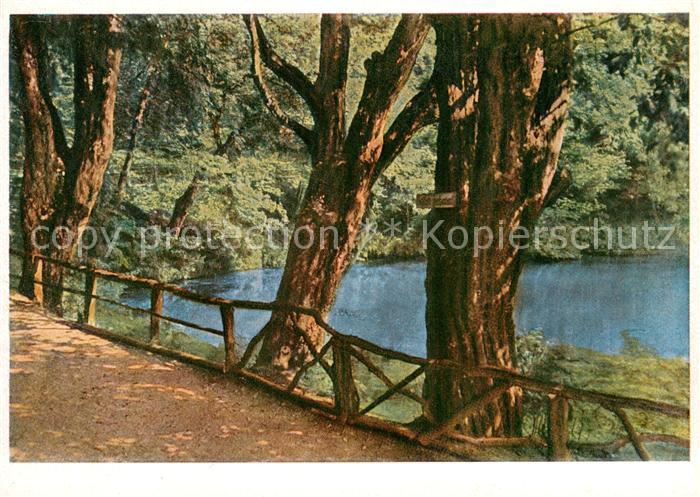 Blaubeuren Partie am Blautopf