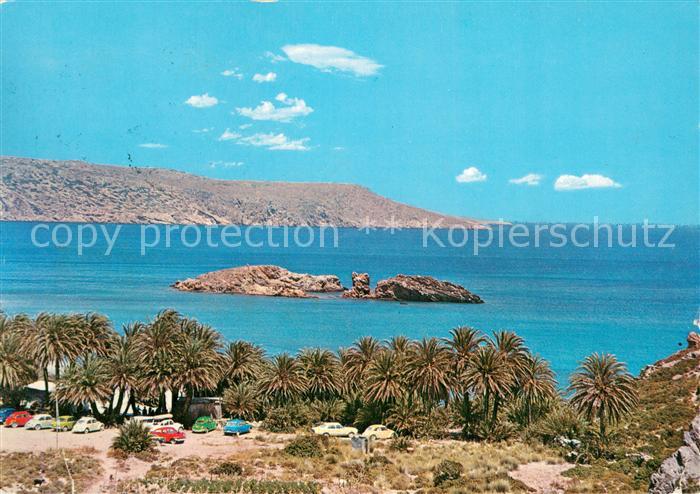 Sitia Crete Greece Palmen Wald Panorama