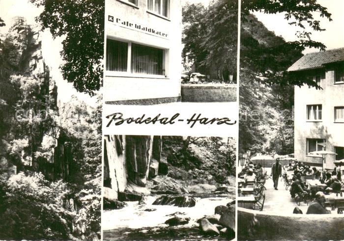 Bodetal Bodethal Harz Cafe Waldkater Natur Felsen