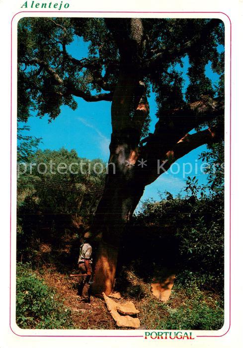Alentejo PT Workman drawing the cork-aok Korkbaum
