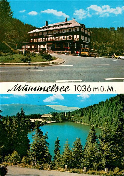 Mummelsee Berghotel Mummelsee Seepanorama