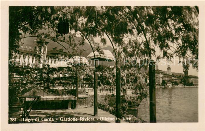 Gardone Riviera di Garda IT Glicine in fiore