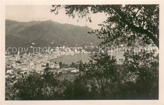 Rapallo IT Panorama