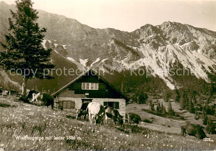 Oberjoch Wiedhagalpe m. Iseler u. Kuehe