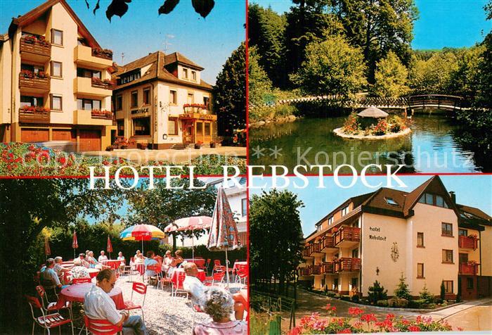 Ohlsbach Hotel Pension Zum Rebstock Gartenterrasse Schwanenteich
