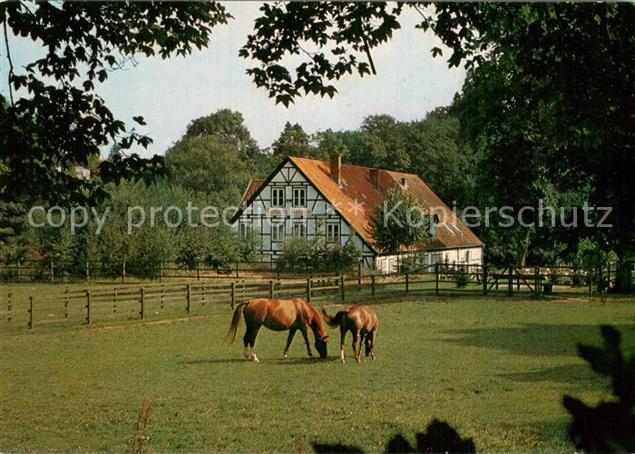 Friedrichsruh Aumuehle Bismarck Museum Pferdekoppel