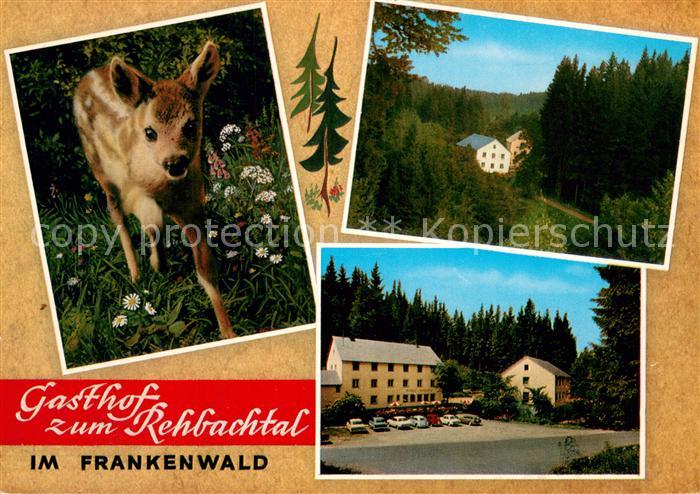 Grafengehaig Gasthof zum Rehbachtal Rehkitz