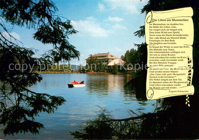 Mummelsee Berghotel Mummelsee Panorama