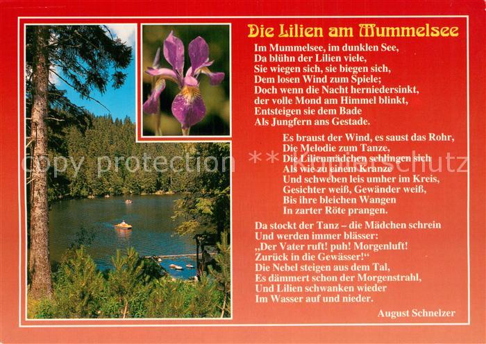 Mummelsee Seepanorama