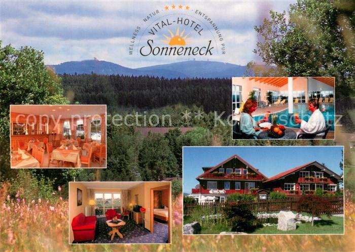 Hohegeiss Harz Vitalhotel Sonneneck Restaurant Hallenbad Landschaftspanorama