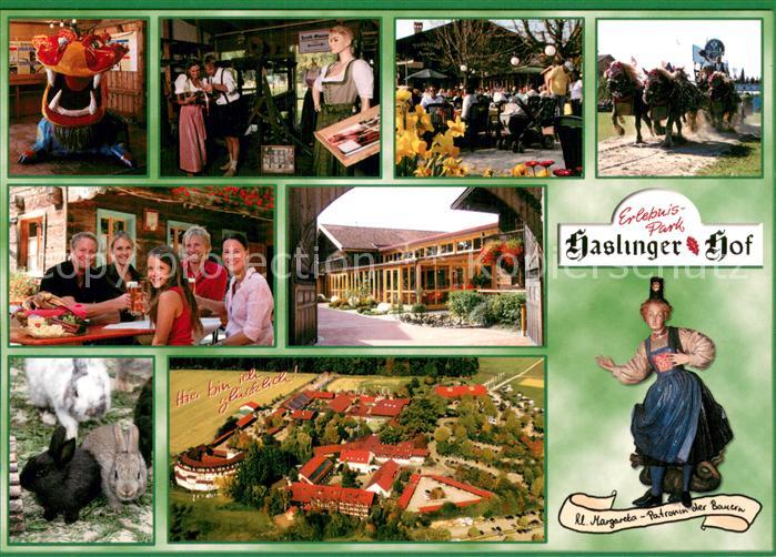 Kirchham Niederbayern Erlebnispark Haslinger Hof Biergarten Pferdegespann Hasen