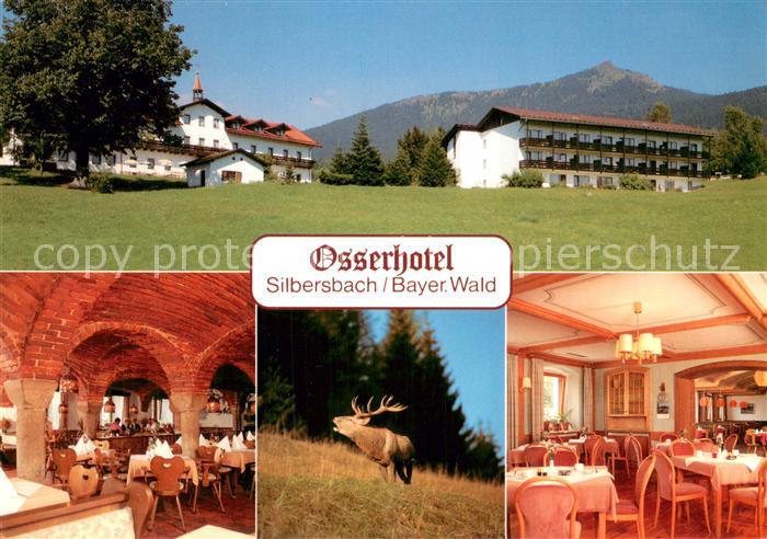 Silbersbach Osserhotel Restaurant Wild Hirsch