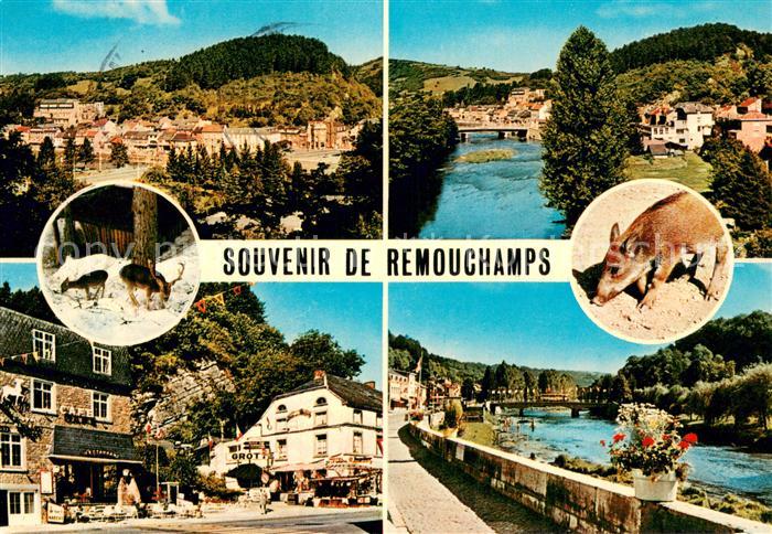 Remouchamps Liege 
Teilansichten Hotel Partie am Fluss Wild Hirsch Schwein