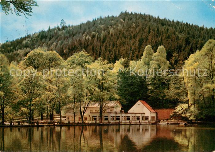 Bad Duerkheim Forellenhaus Isenach Cafe Restaurant Waldsee Pfaelzer Wald