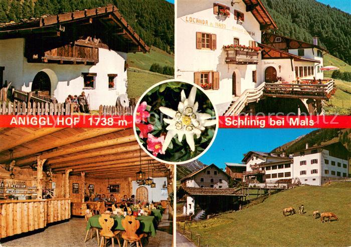 Schlinig Mals Suedtirol Aniggl Hof Terrasse Gastraum