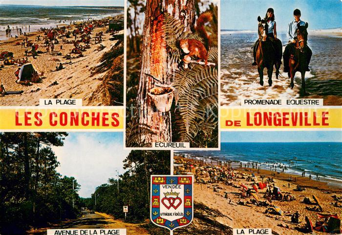 Longeville-sur-Mer La plage les Conches Promenade de Longeville Avenue de la pla