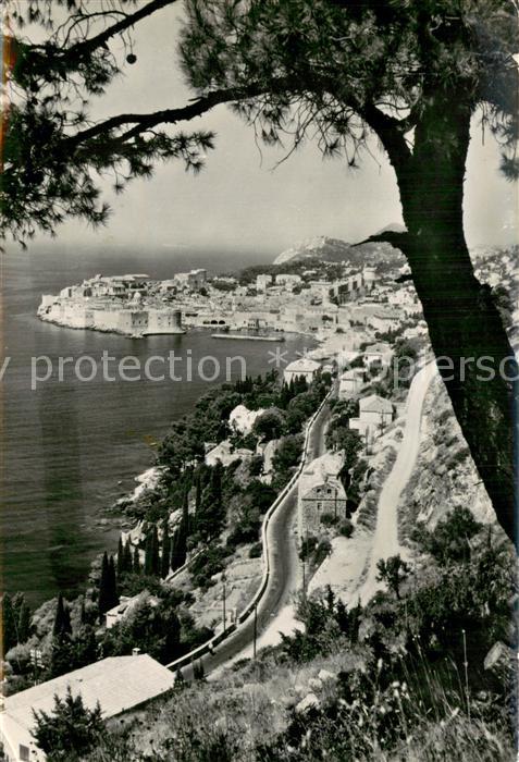 Dubrovnik Ragusa Panorama