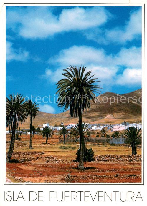 Fuerteventura Panorama
